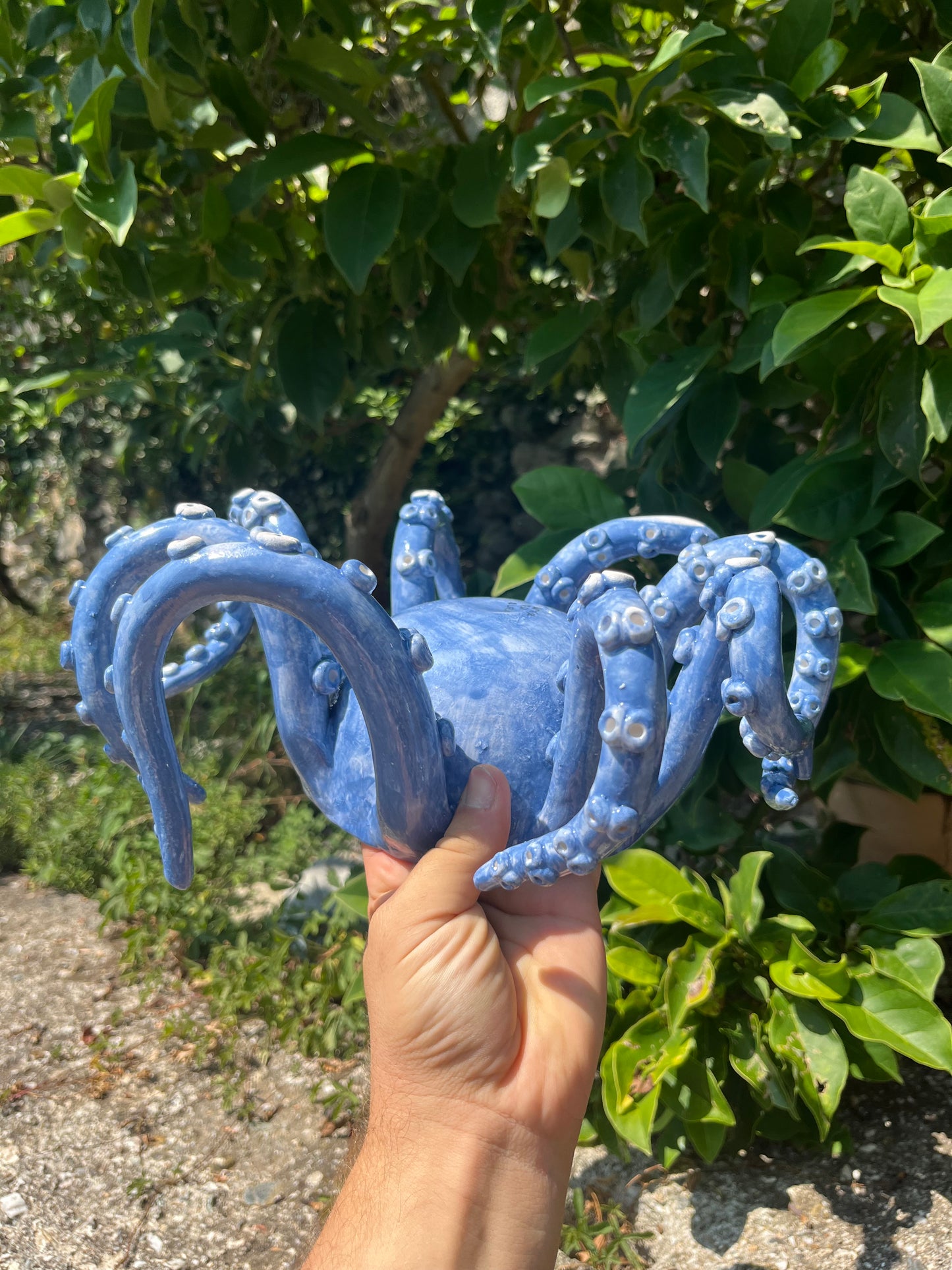 Vaso tentacoli
