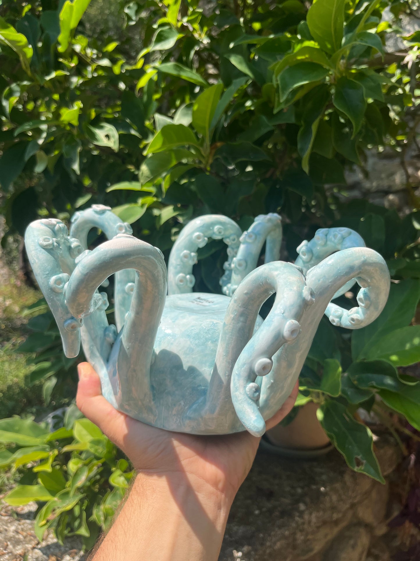 Vaso tentacoli 2