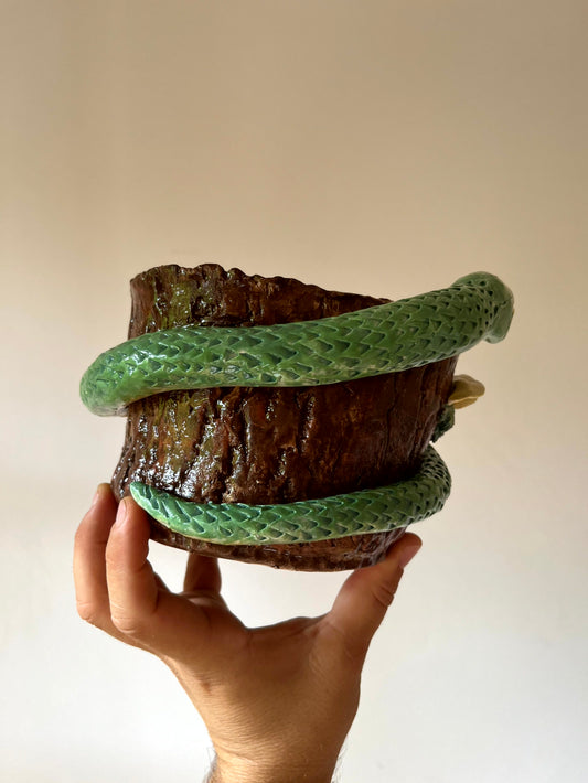 Vaso serpente sul tronco