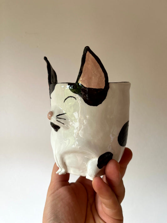 Vaso gatto