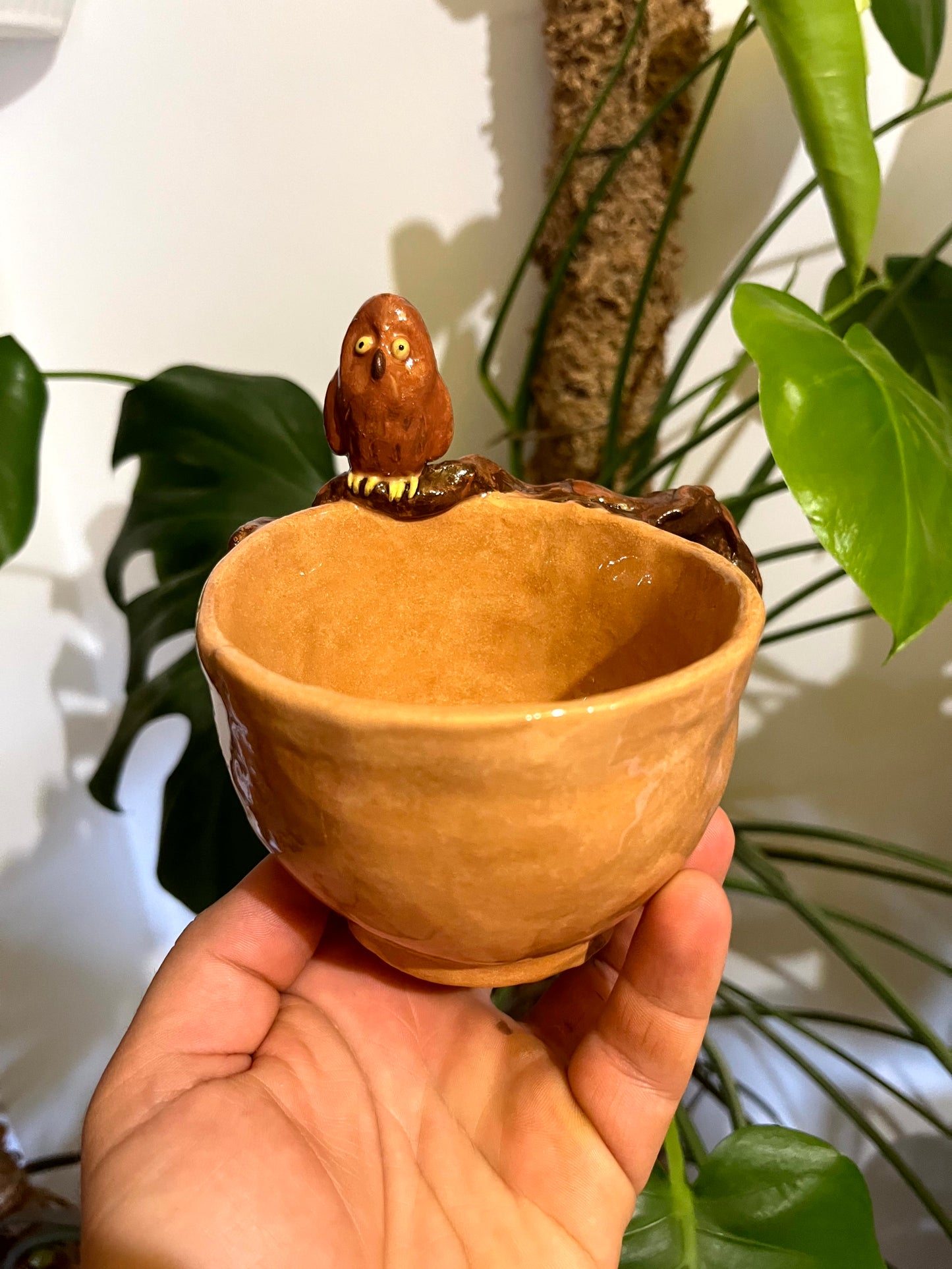 Tazza da tè gufo