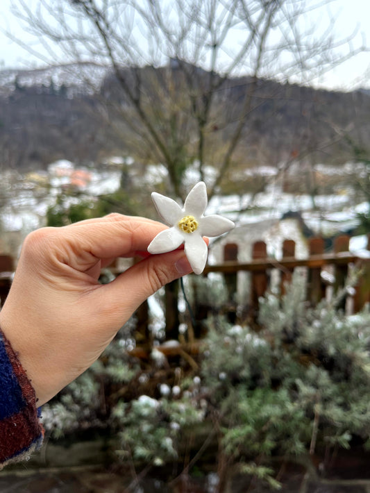 Fiore 2