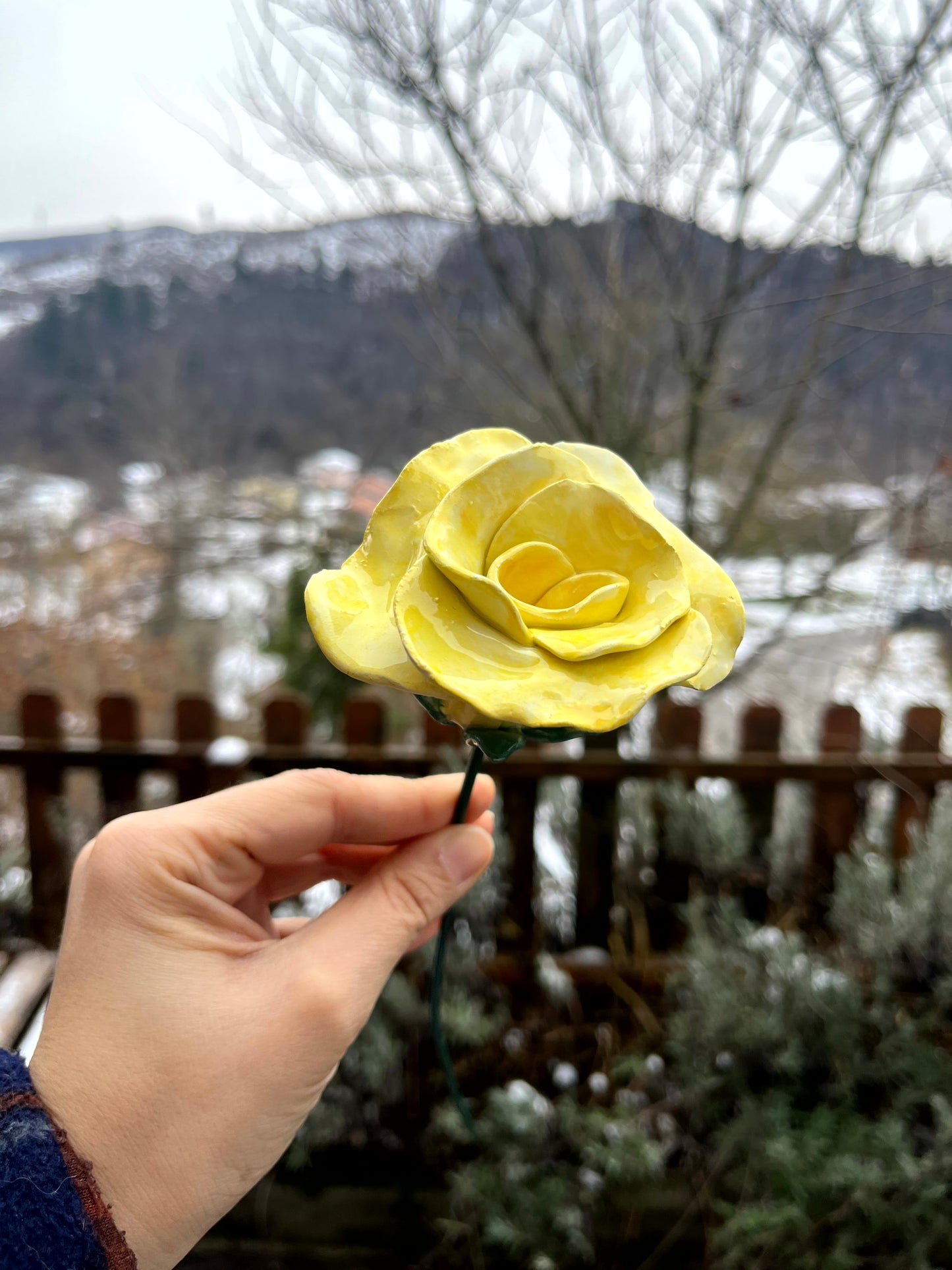 Rosa