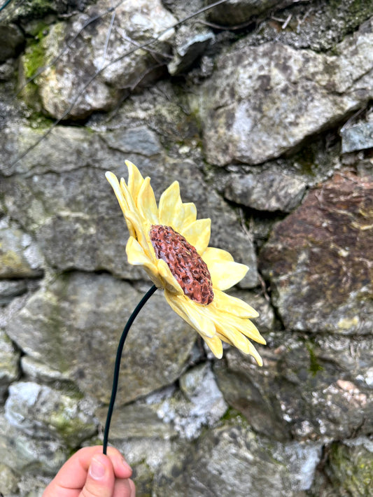 Girasole