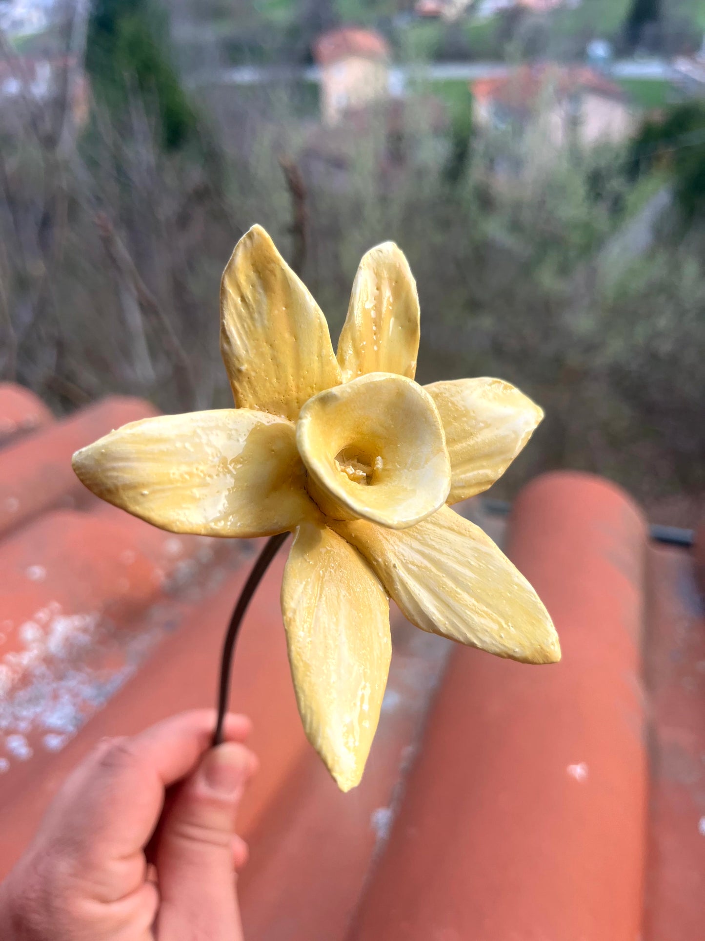 Narciso