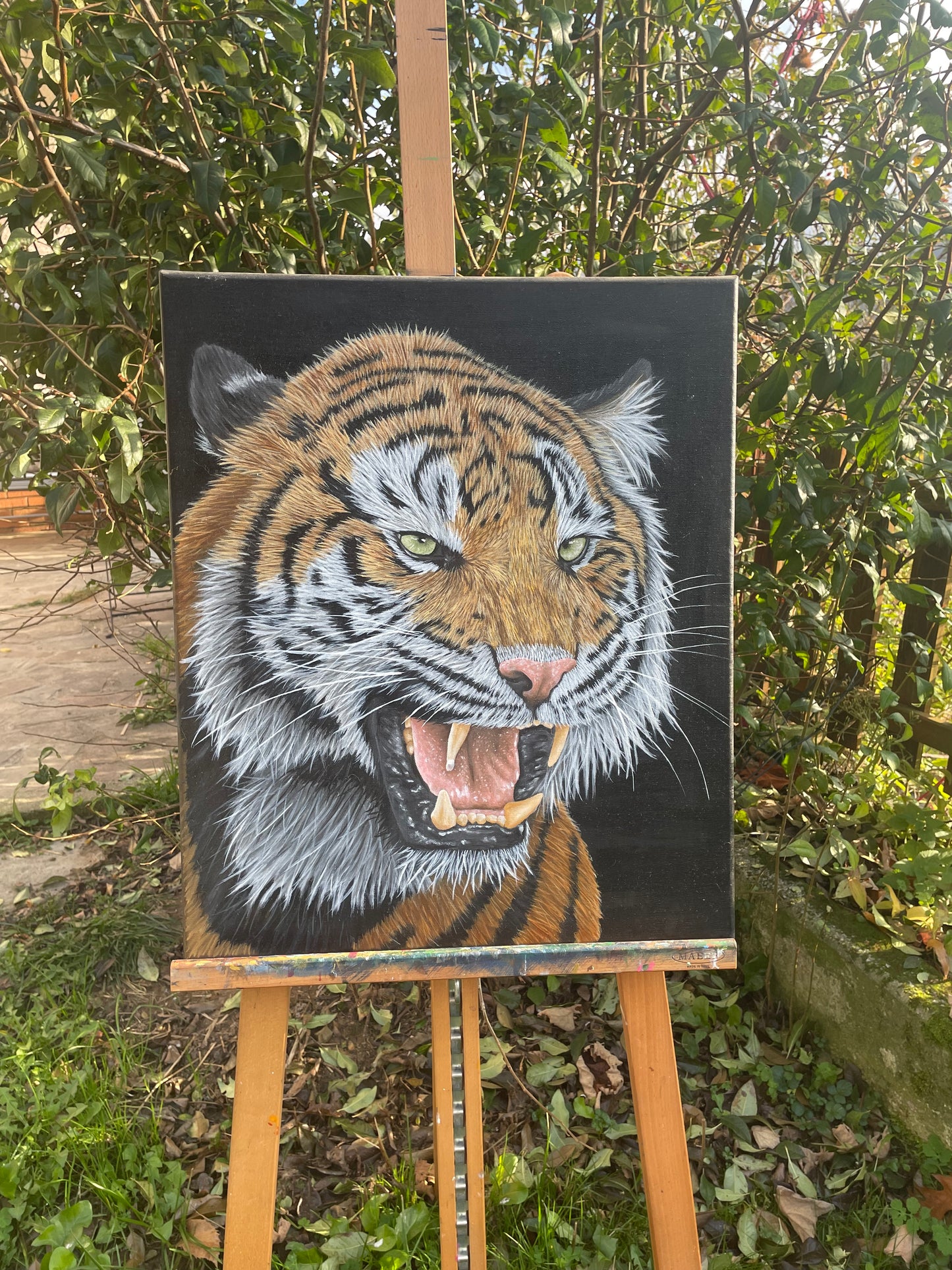 Tigre