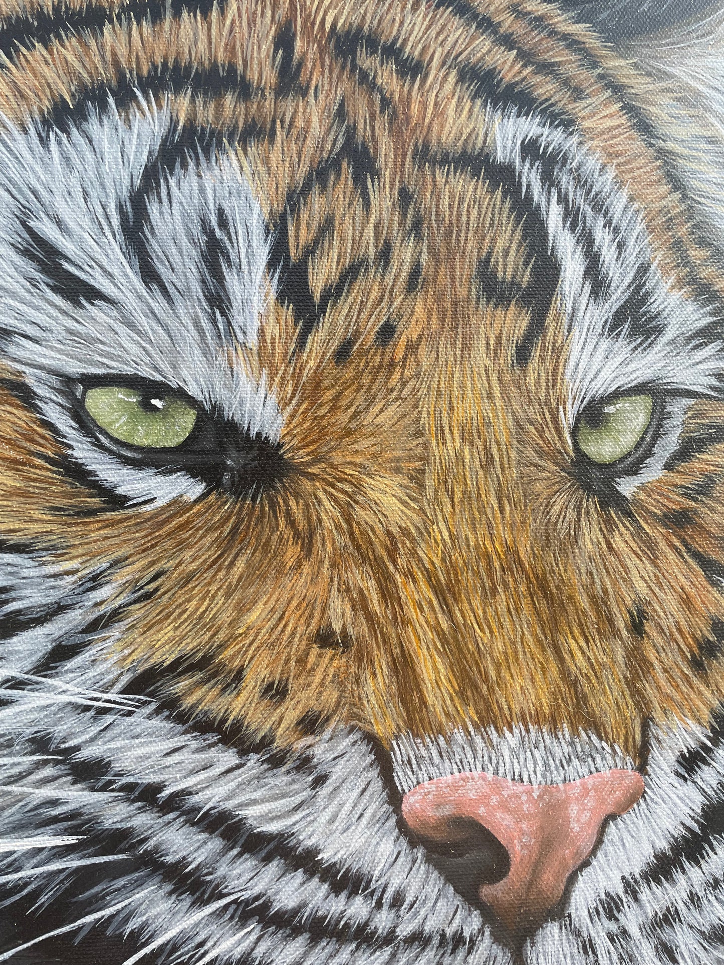 Tigre