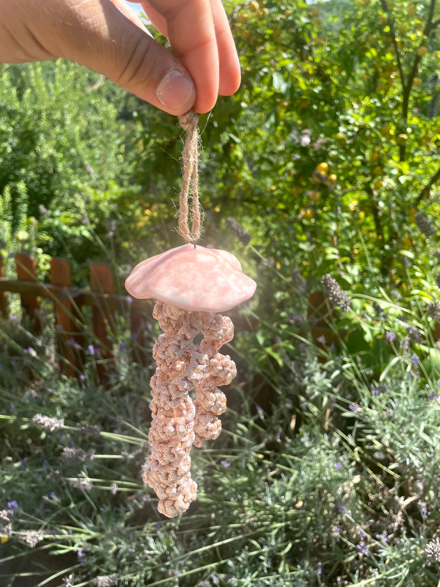 Meduse decorative da appendere