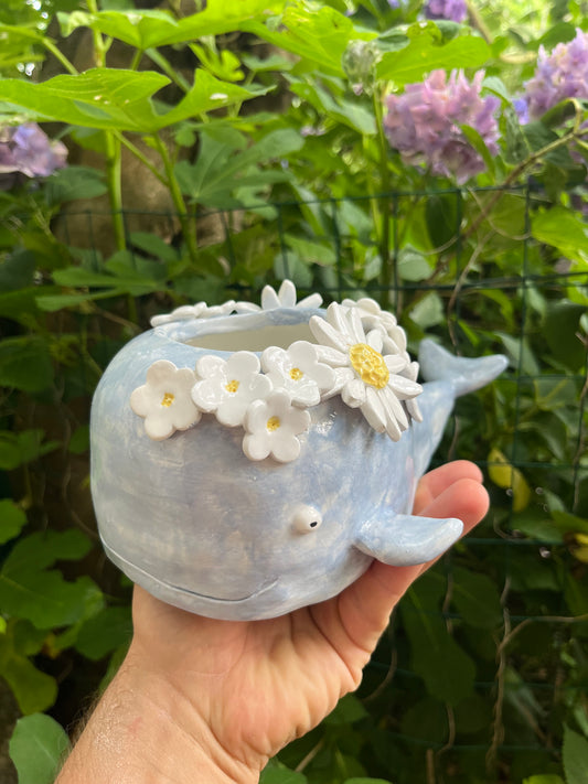 Vaso piccolo balena