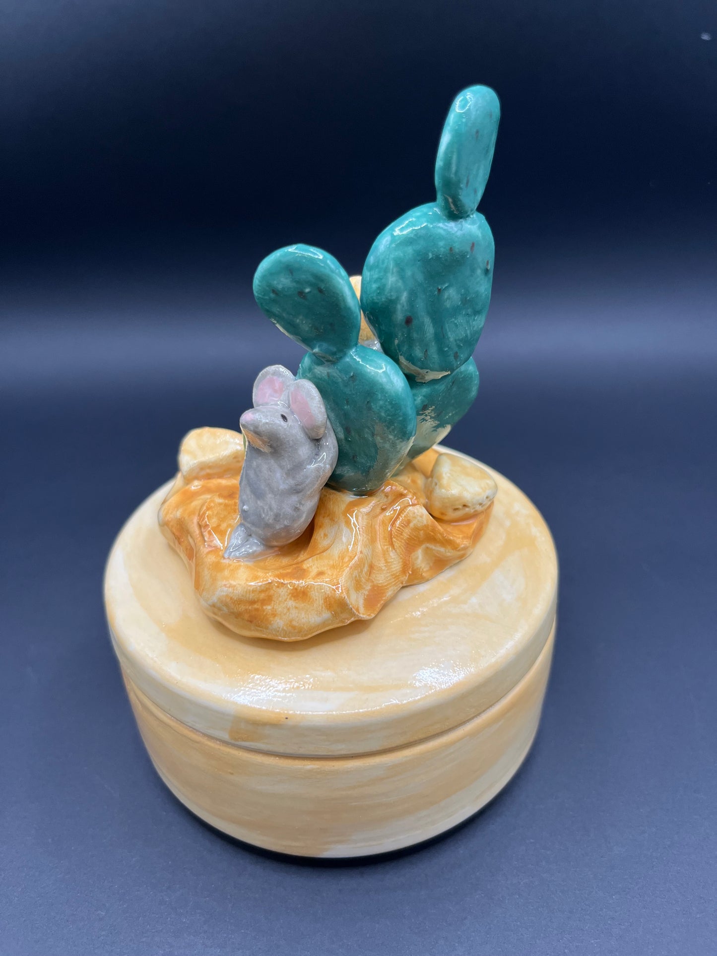 Cofanetto tondo cactus