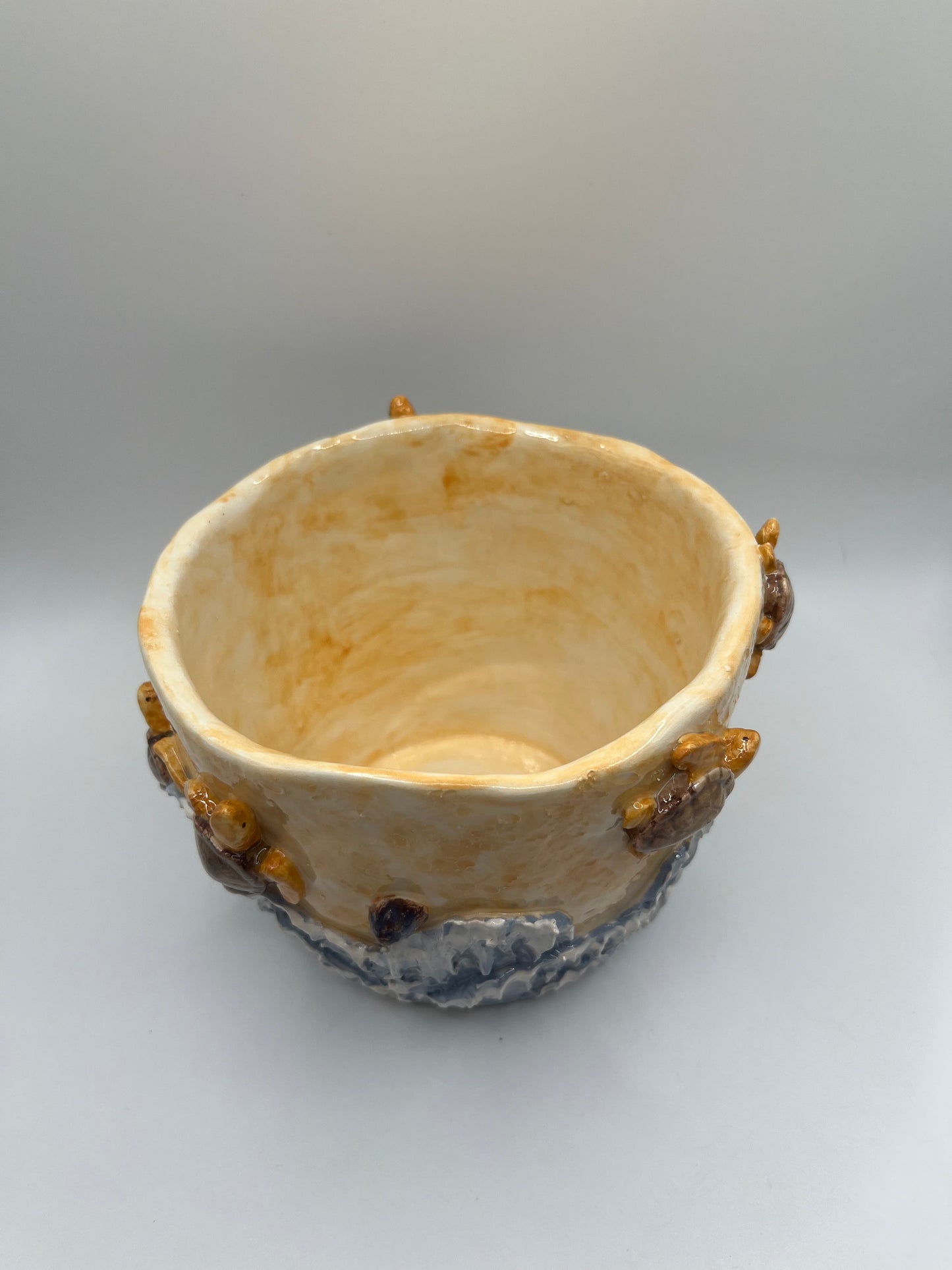 Vaso tartarughe