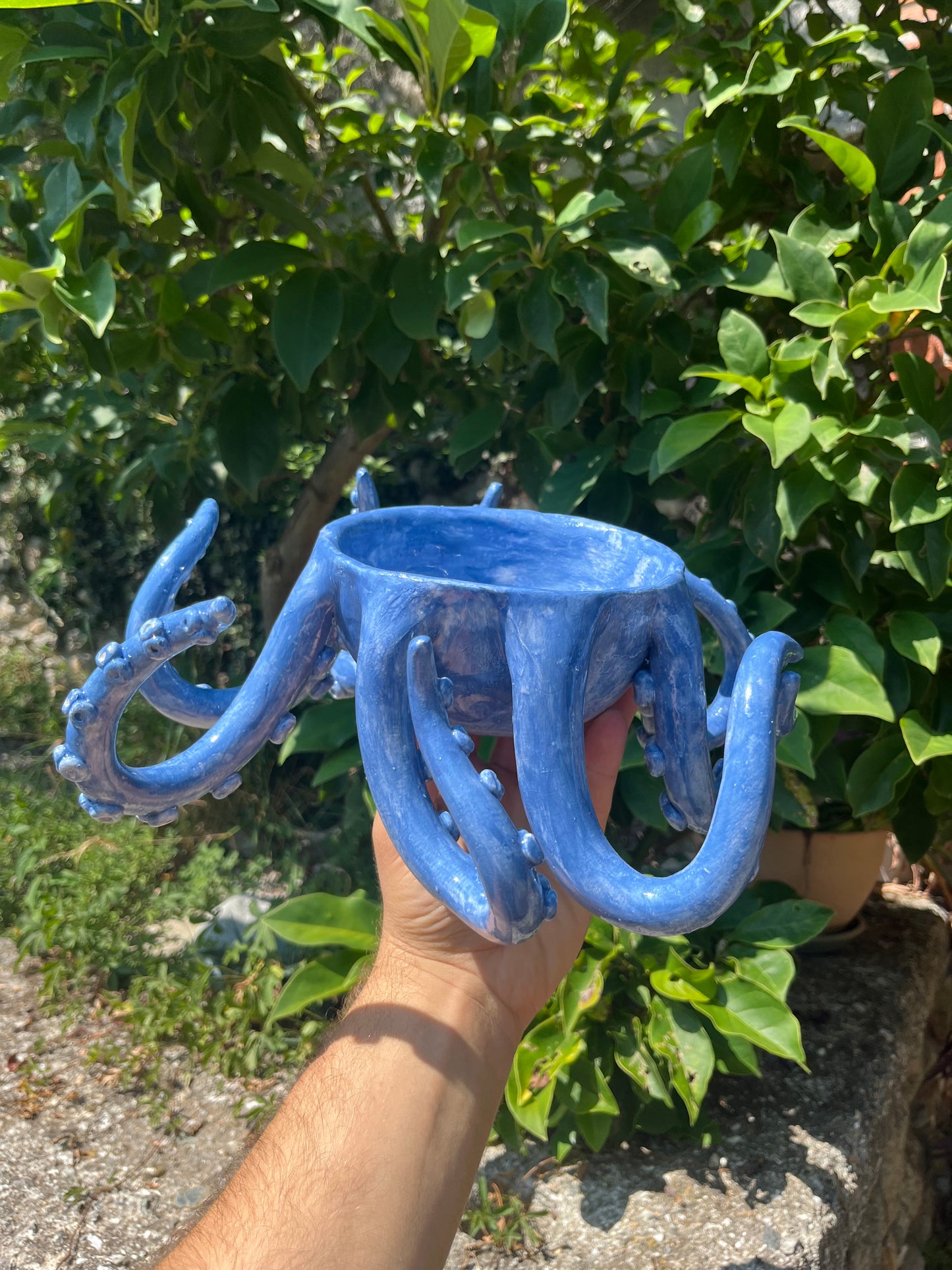 Vaso tentacoli