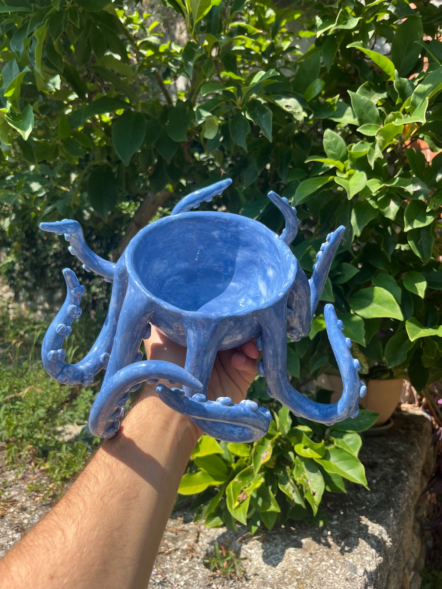 Vaso tentacoli