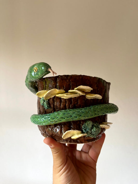 Vaso serpente sul tronco