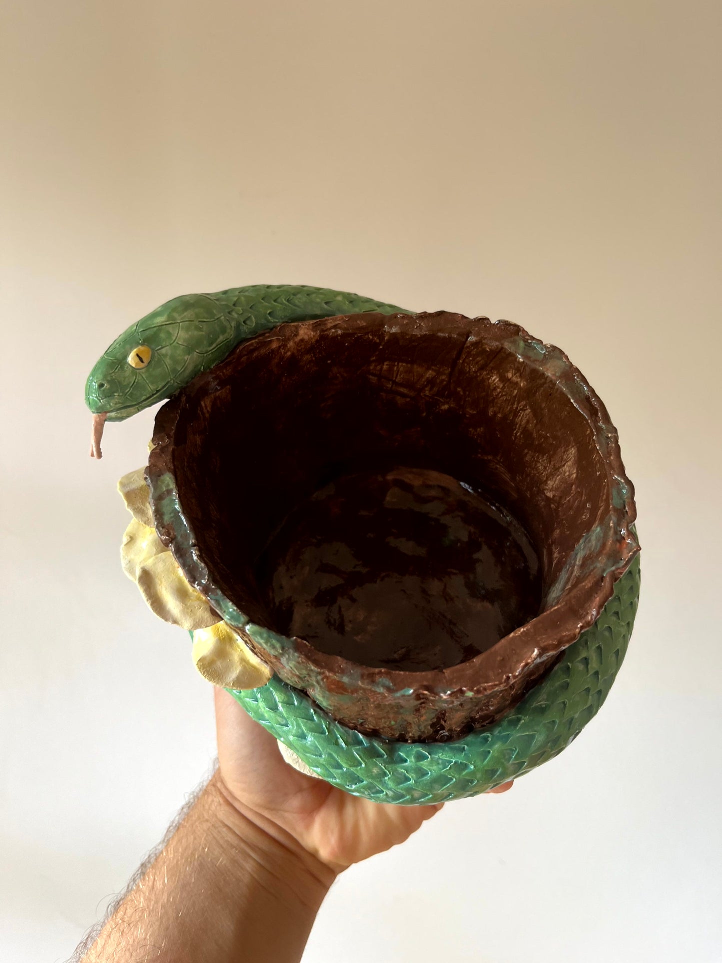 Vaso serpente sul tronco