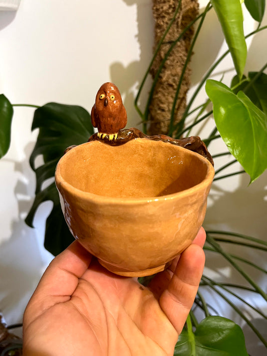 Tazza da tè gufo