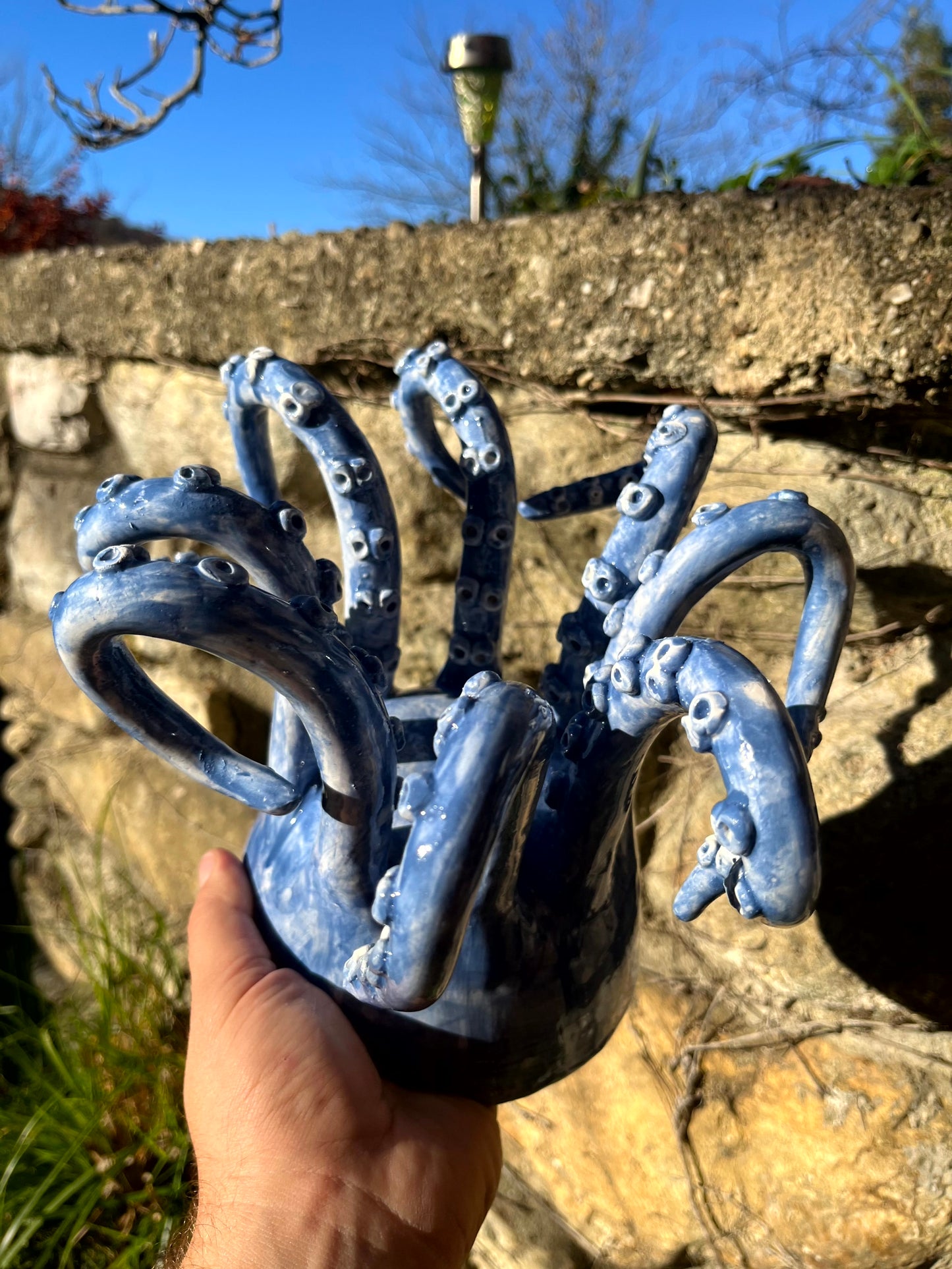 Vaso tentacoli 2