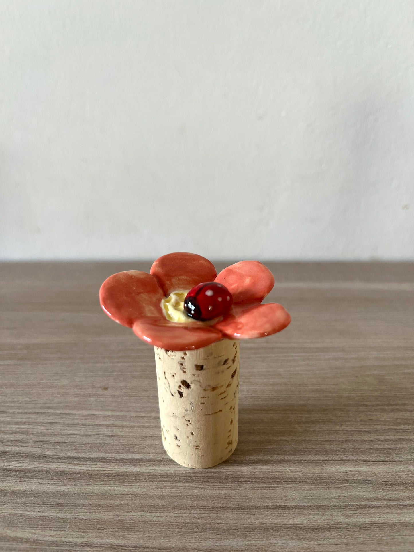 Tappi in sughero e ceramica