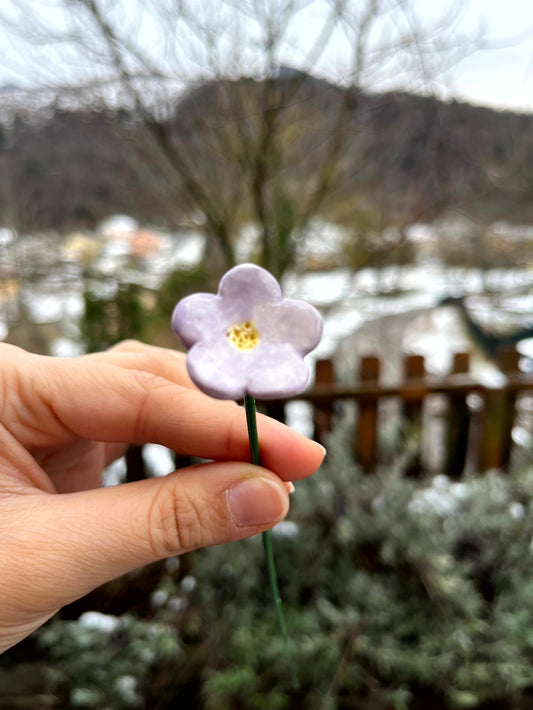 Fiore 1