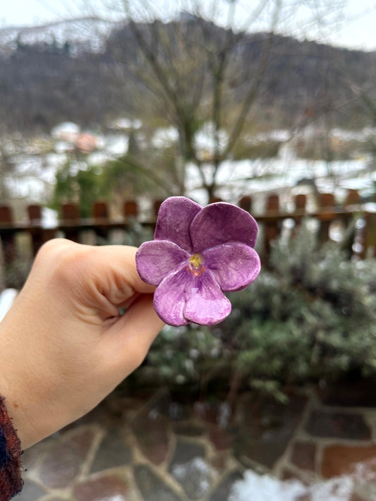 Viola del pensiero