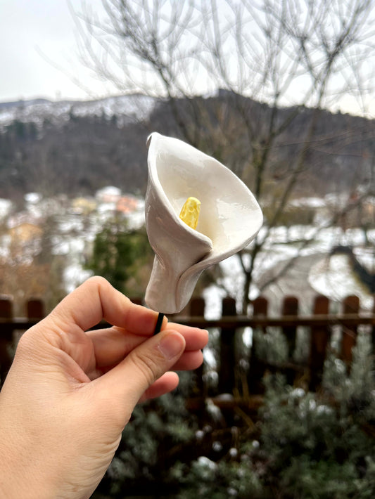Calla
