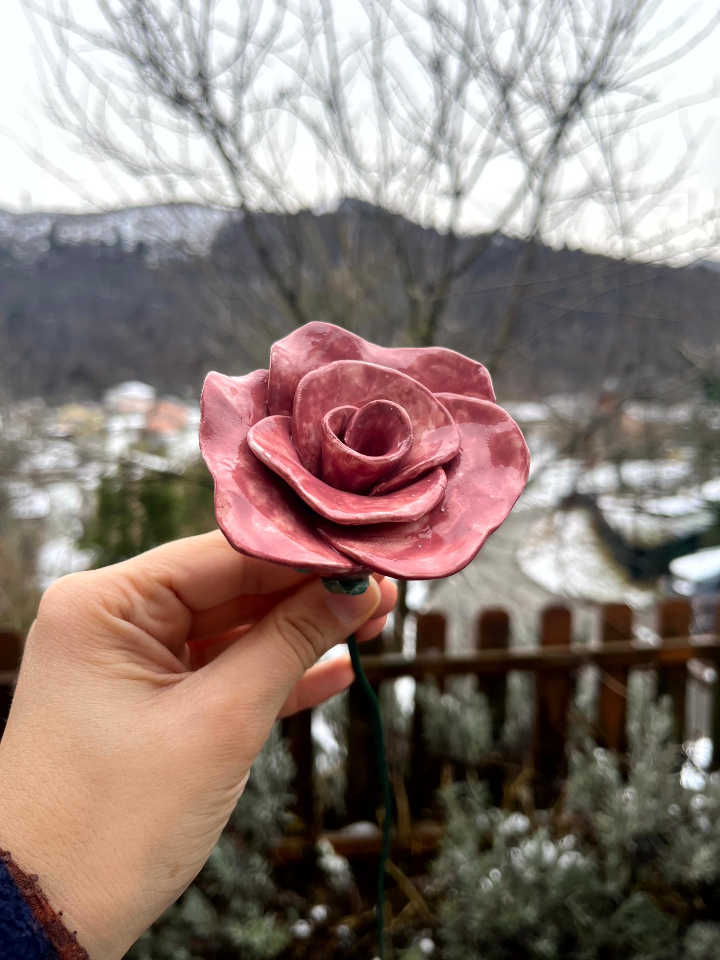 Rosa