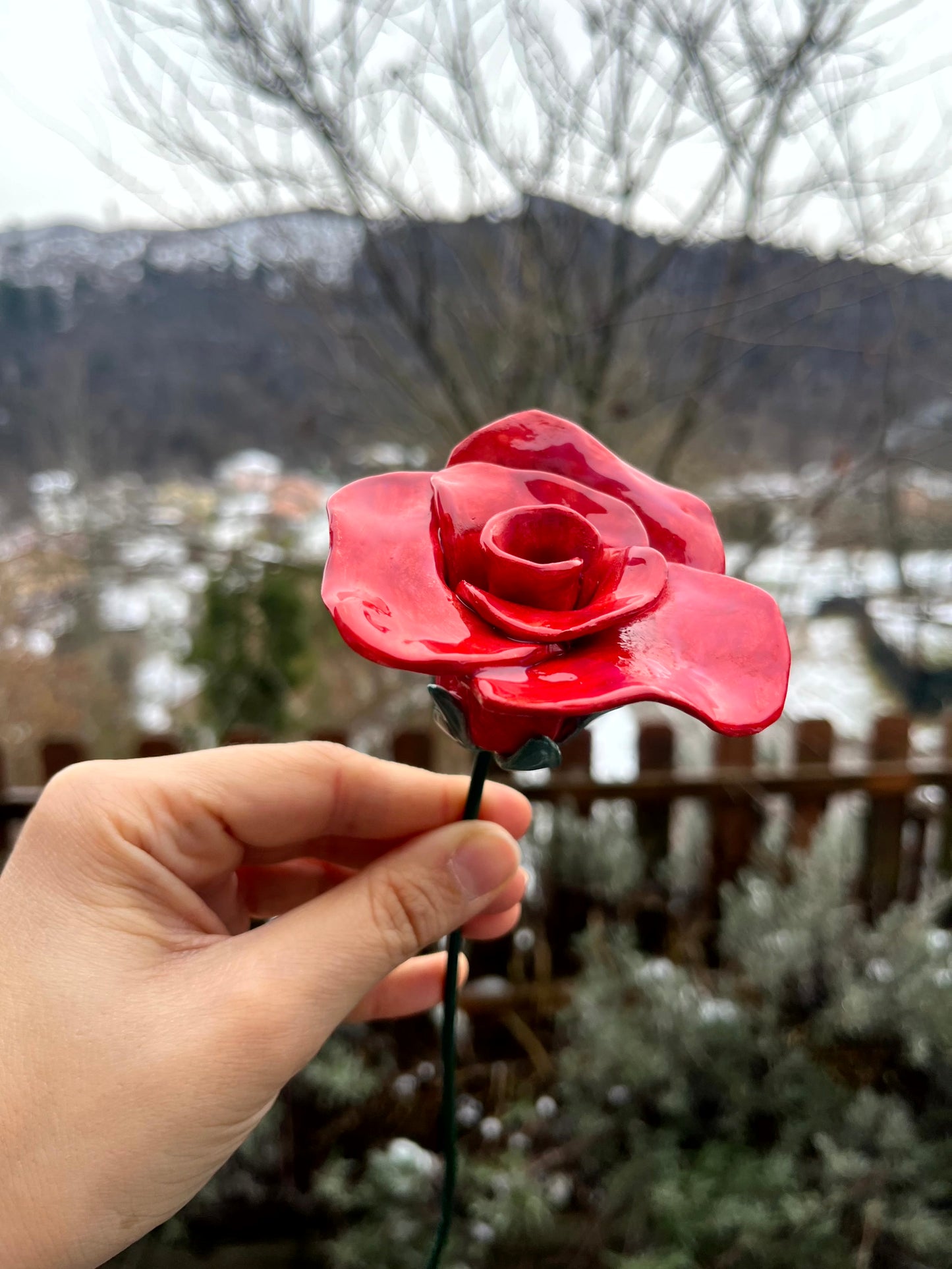 Rosa