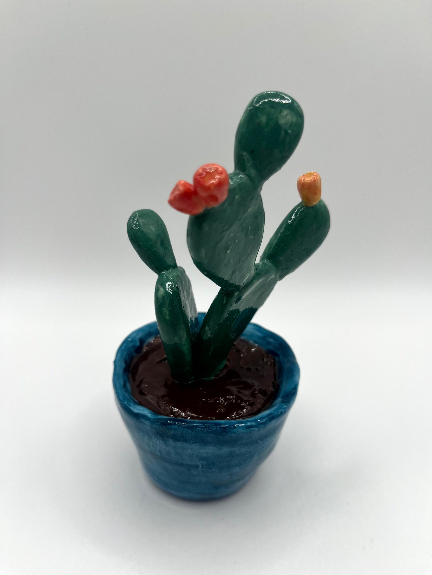 Mini fico d'india