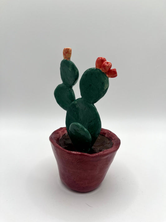 Mini fico d'india