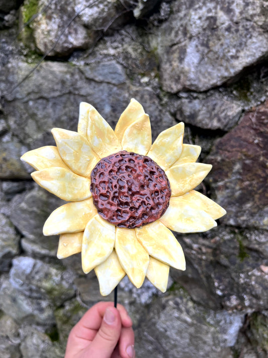 Girasole