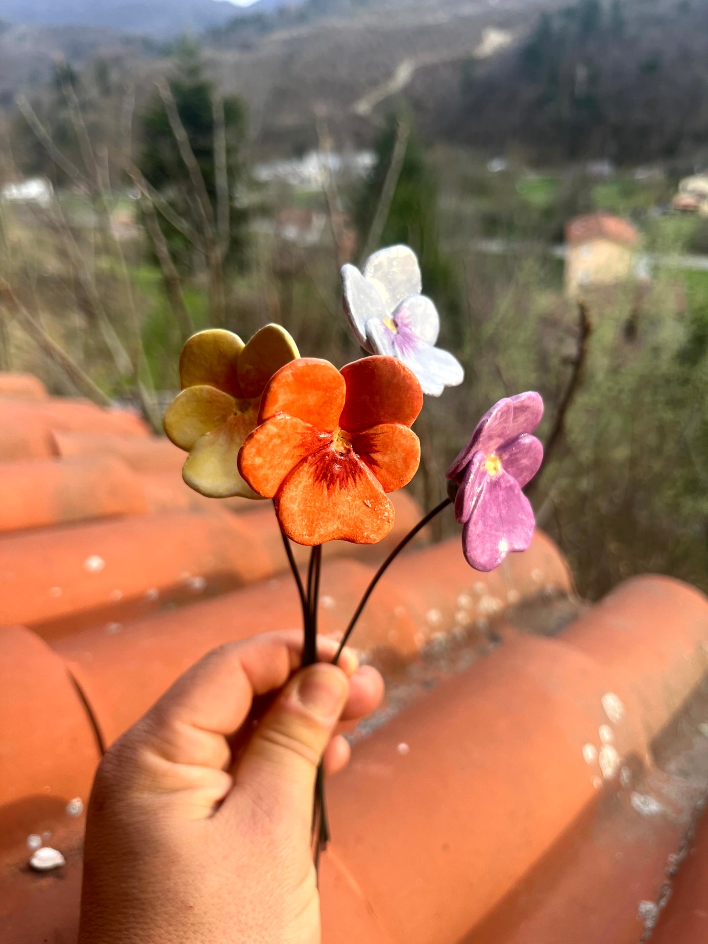 Viola del pensiero