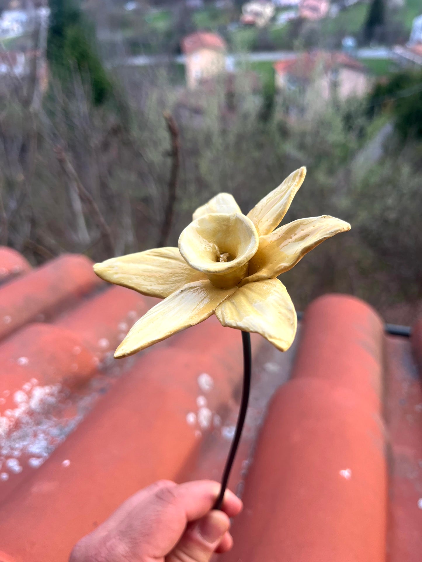 Narciso