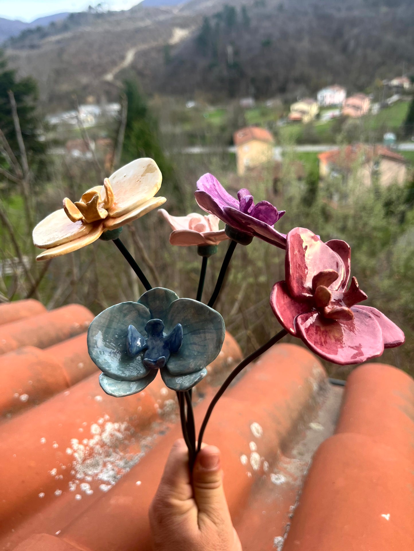 Orchidea