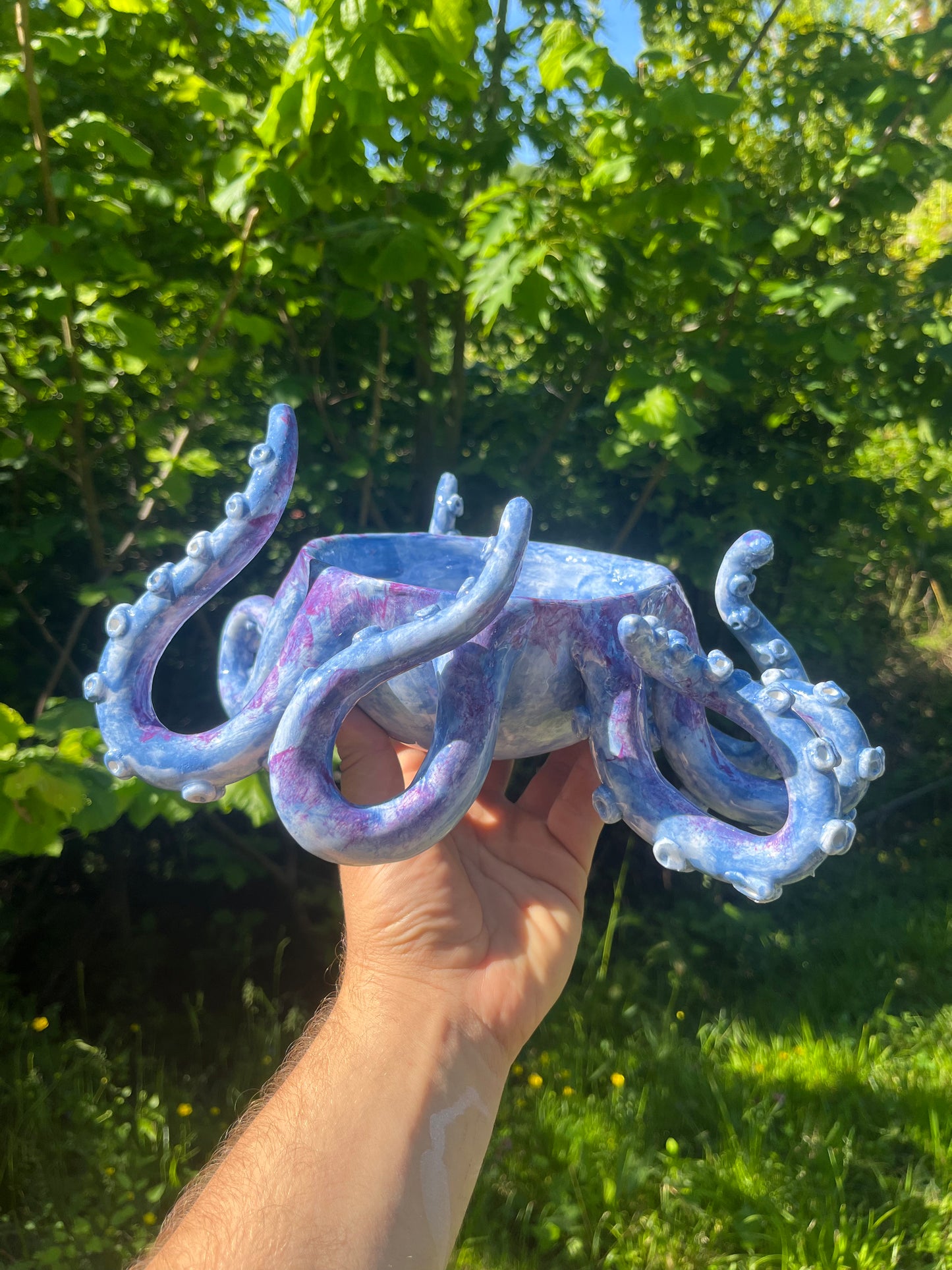 Vaso tentacoli