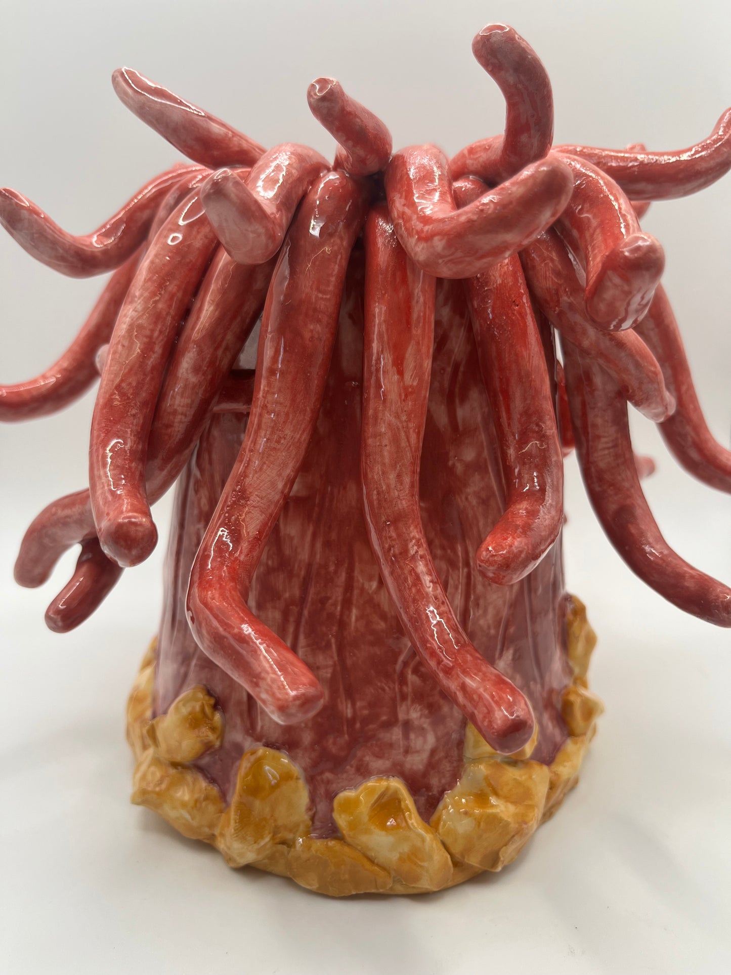 Vaso corallo
