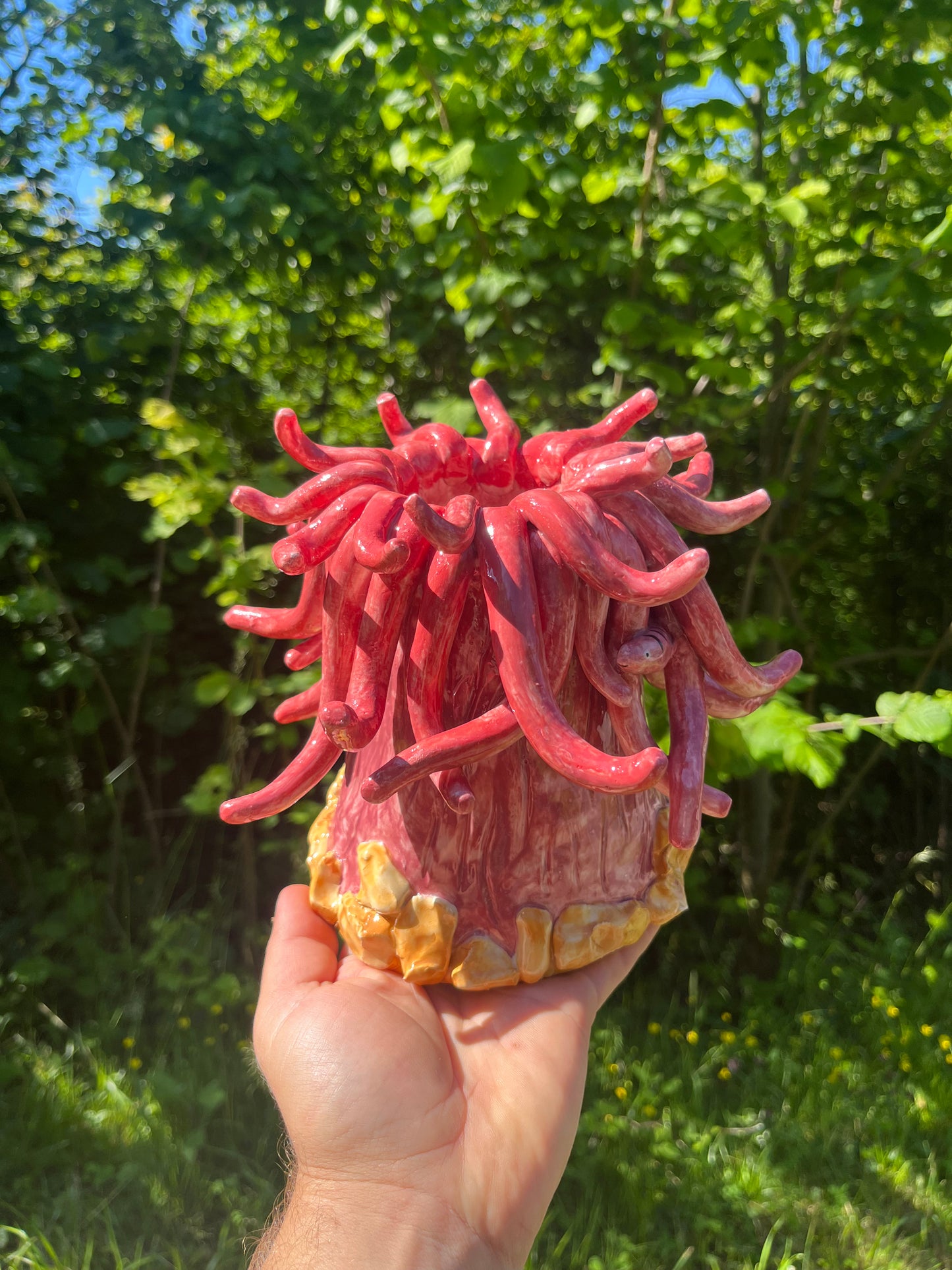 Vaso corallo