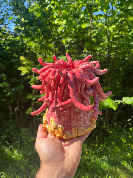 Vaso corallo