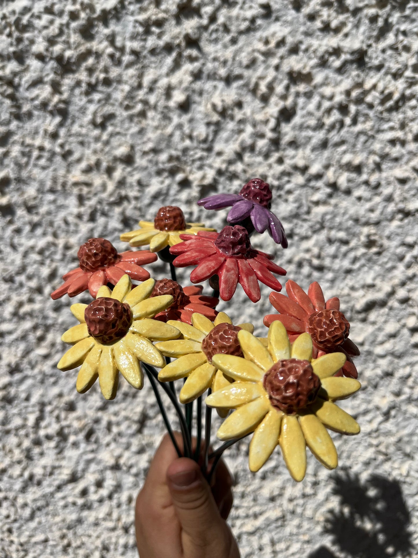 Echinacea