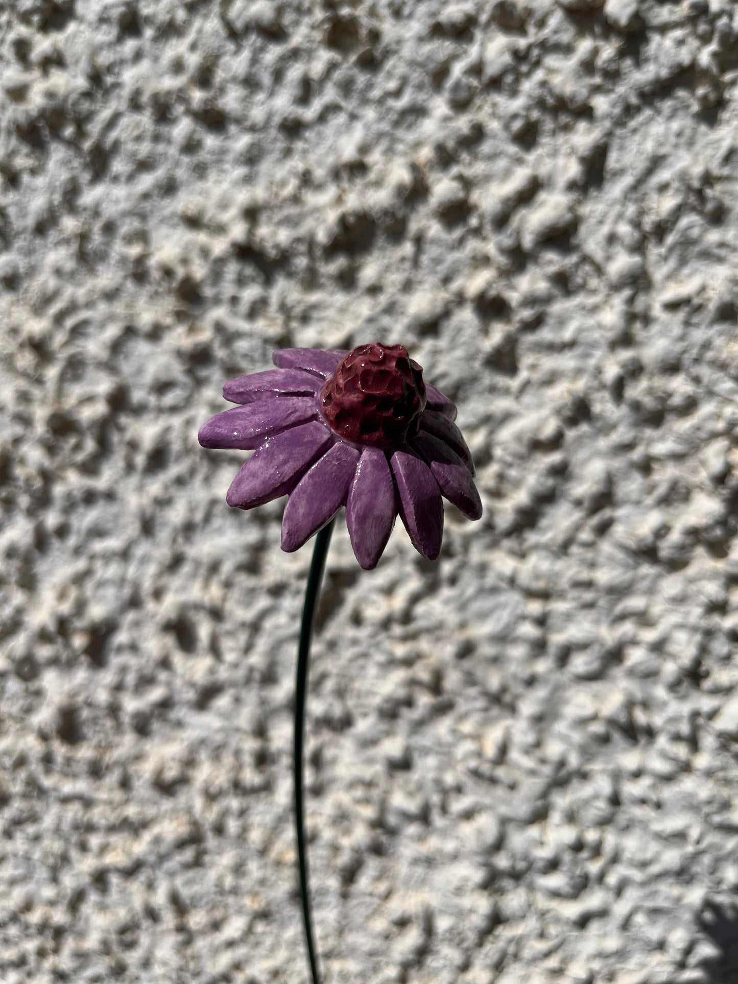 Echinacea