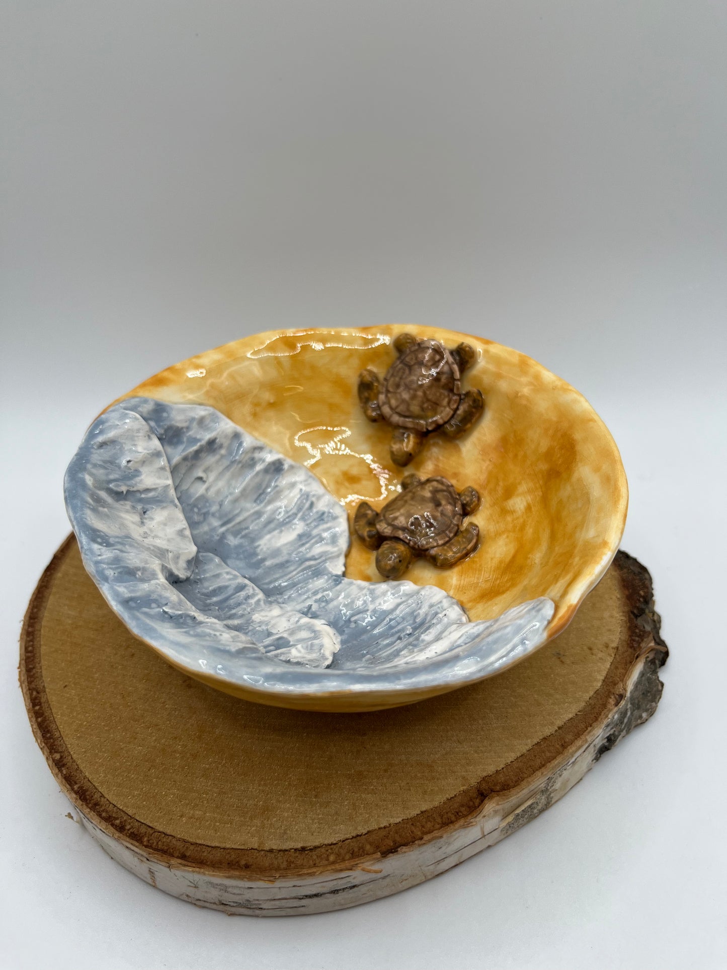 Ciotolino tartarughe di mare