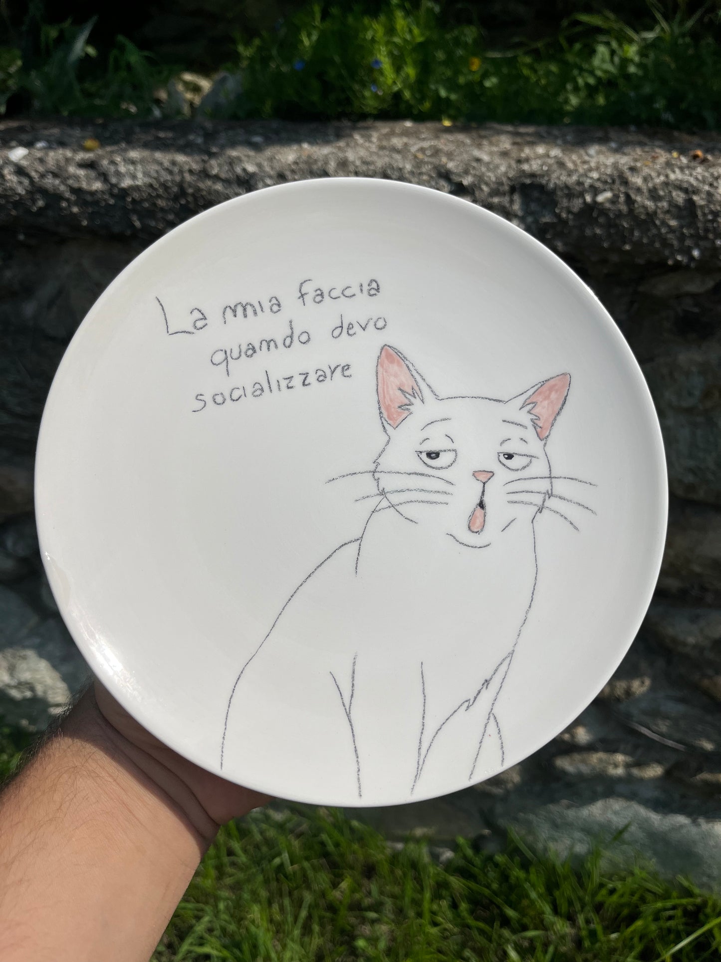 Piatti decorati