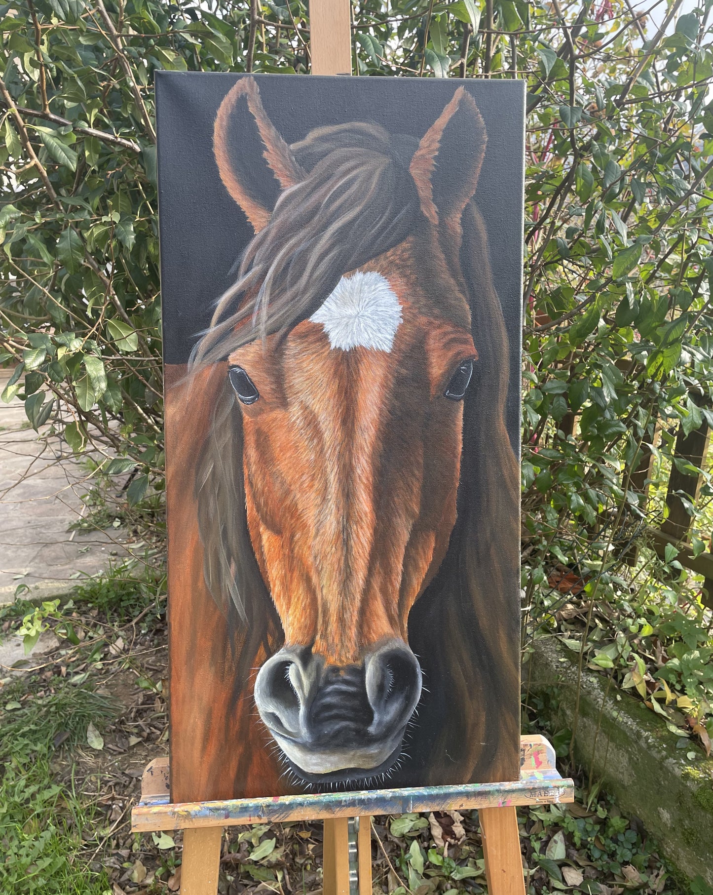 Cavallo