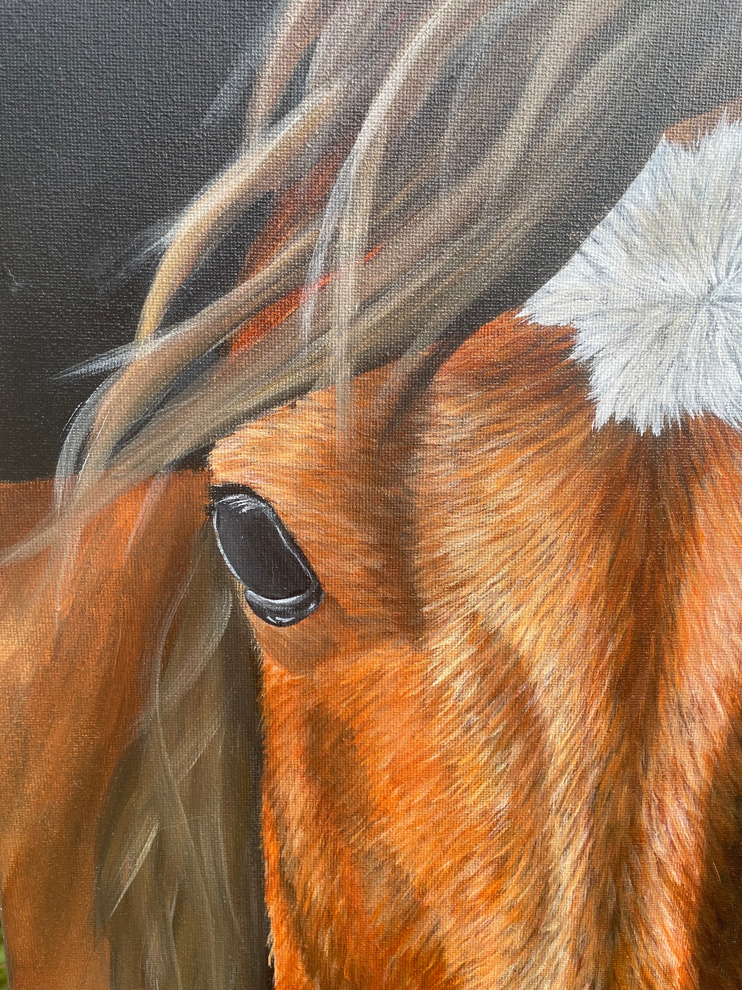 Cavallo