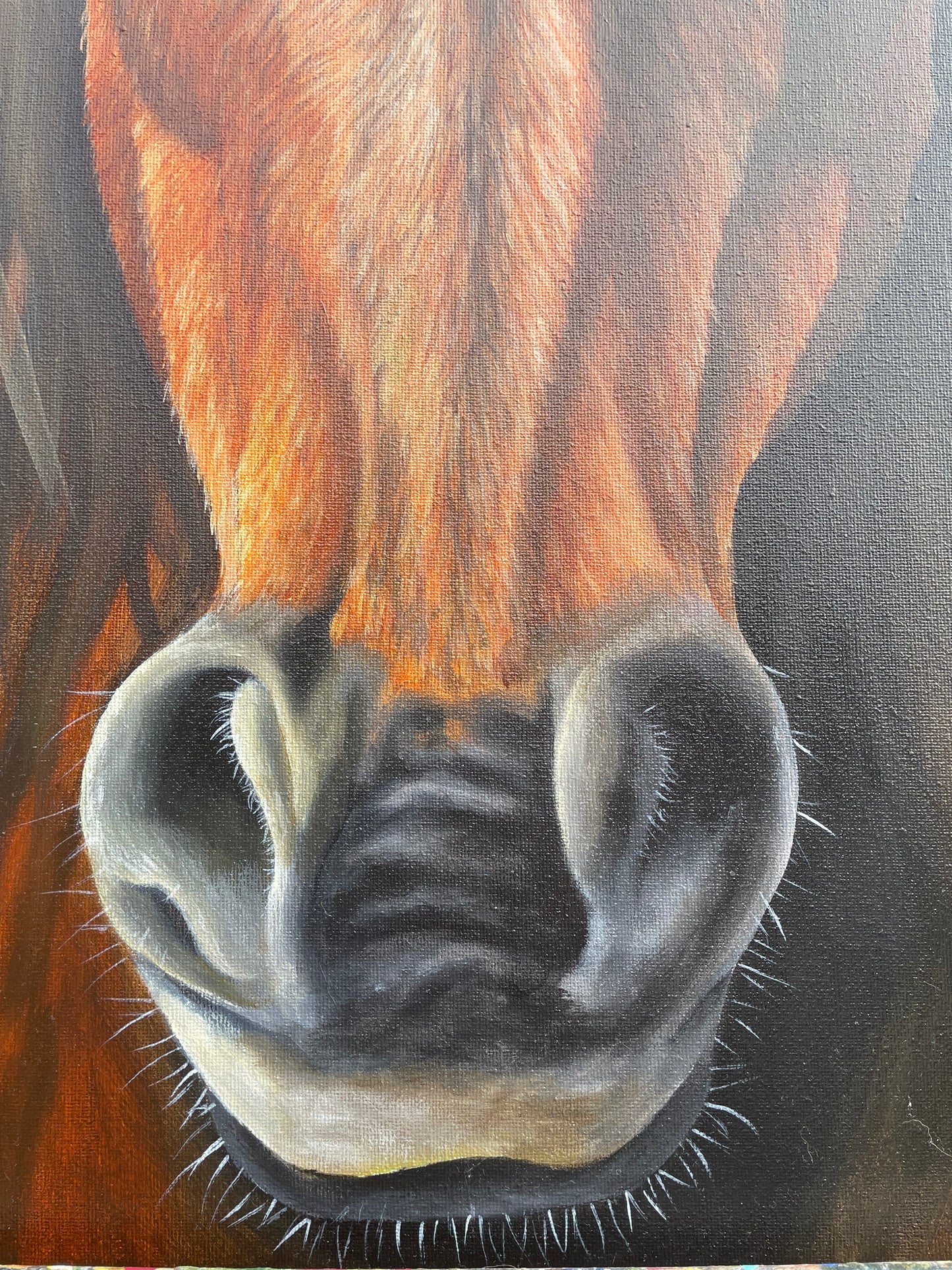 Cavallo