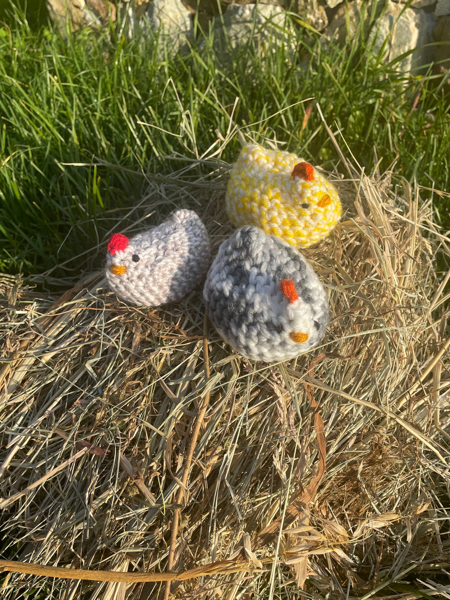 Gallina profuma ambiente