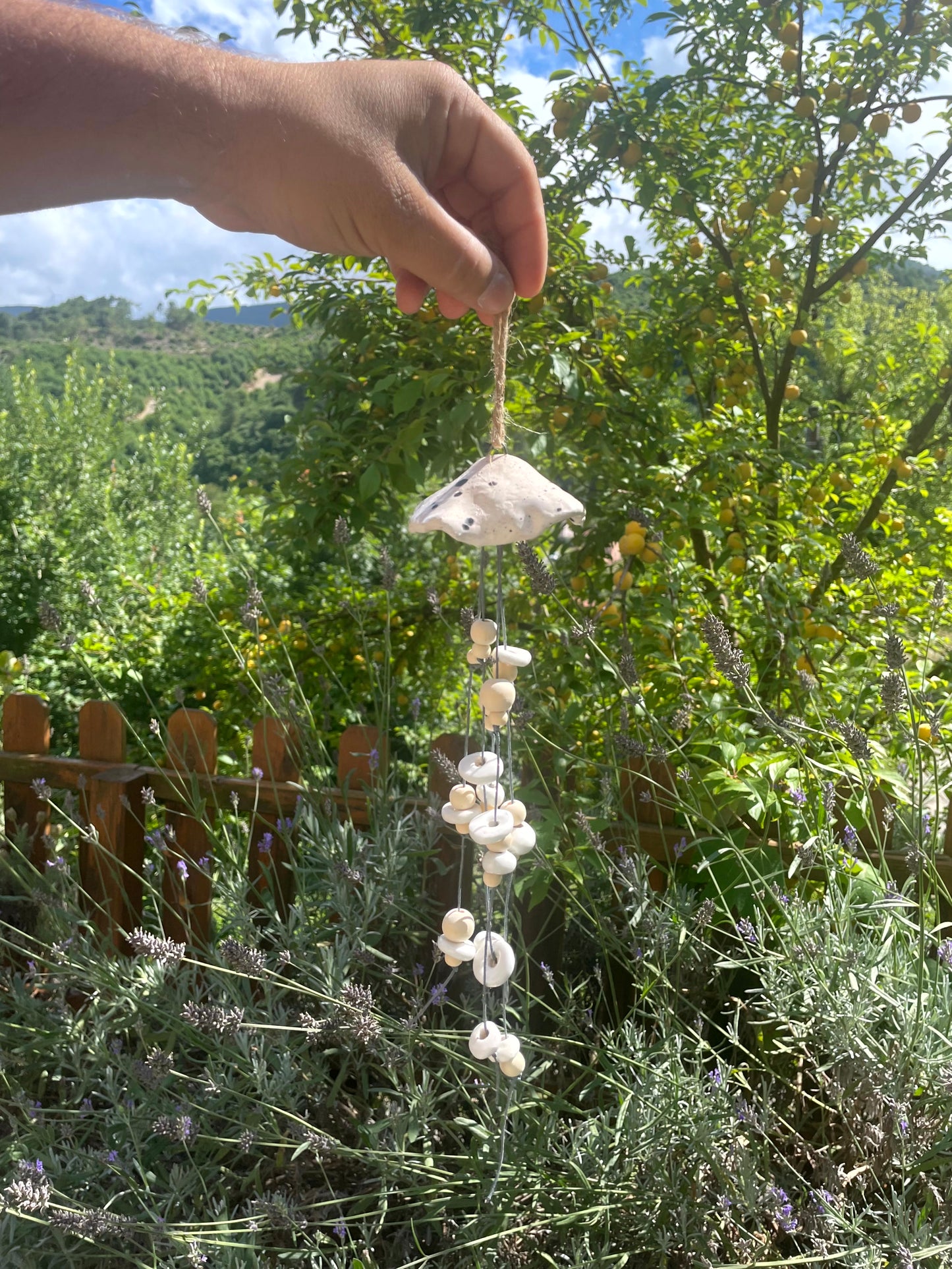 Meduse decorative da appendere