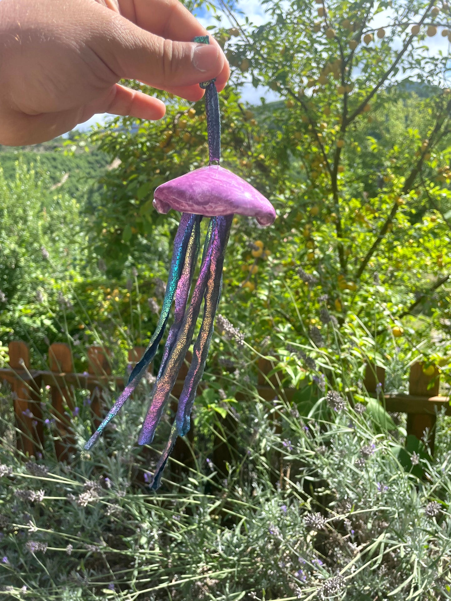 Meduse decorative da appendere