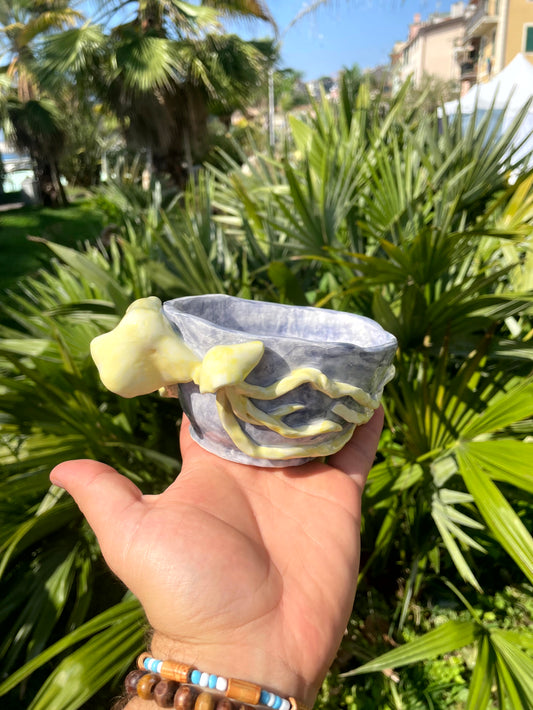 Vaso piccolo meduse