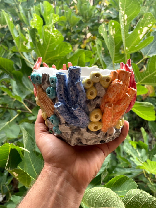 Vaso corallo