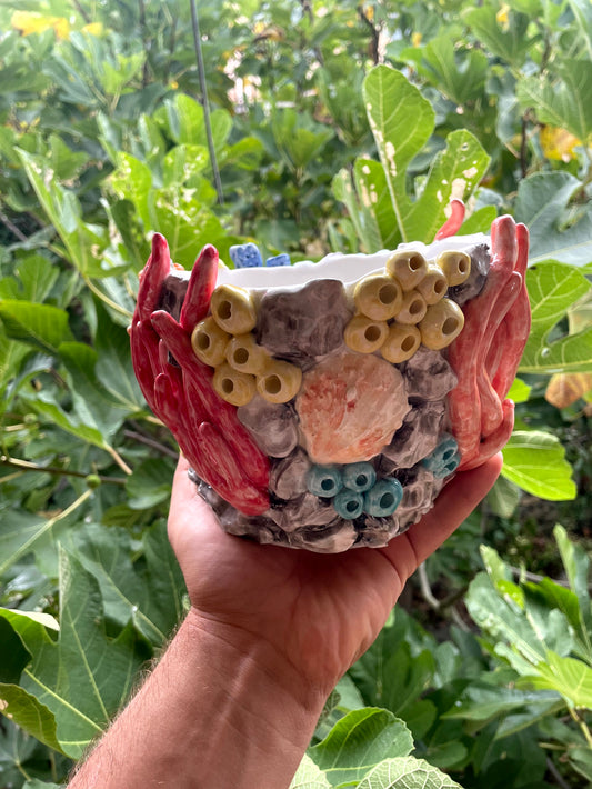 Vaso corallo